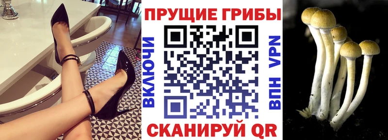 Купить закладки  Белоярский  Галлюциногенные грибы мухоморы 